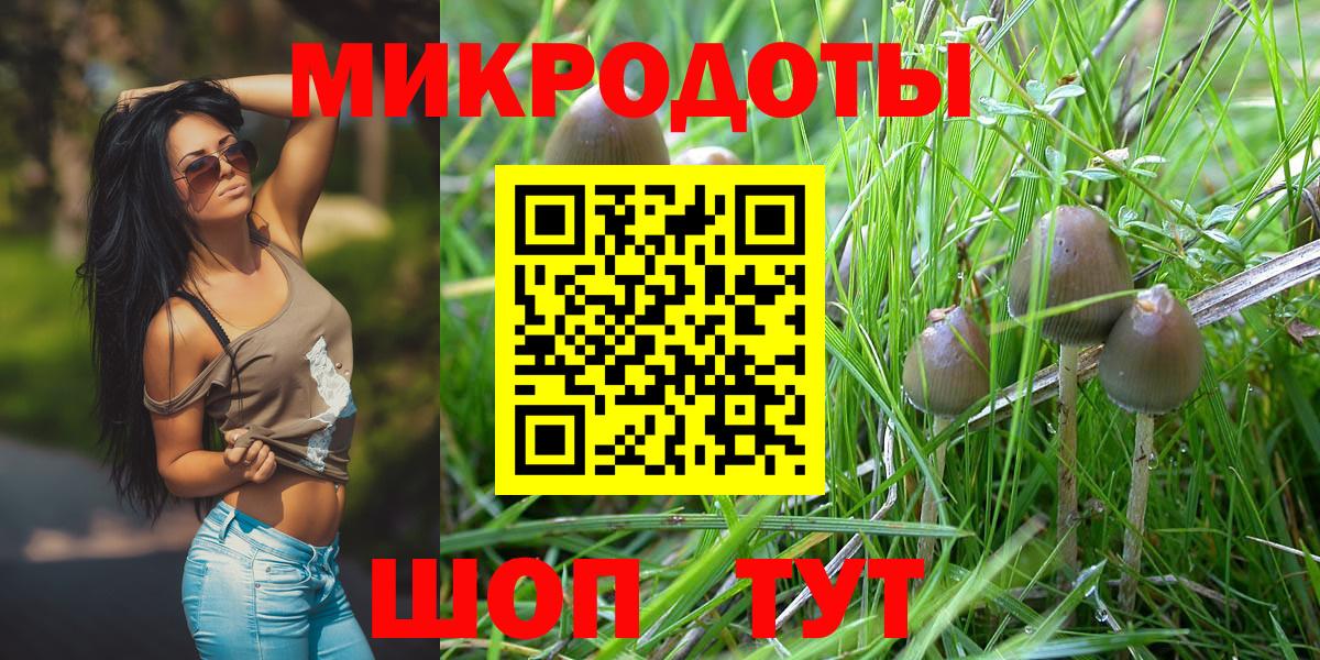 Дубна  Галлюциногенные грибы Cubensis  Вход с VPN  Псилоцибиновые грибы Psilocybine cubensis 